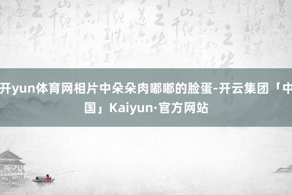 开yun体育网相片中朵朵肉嘟嘟的脸蛋-开云集团「中国」Kaiyun·官方网站