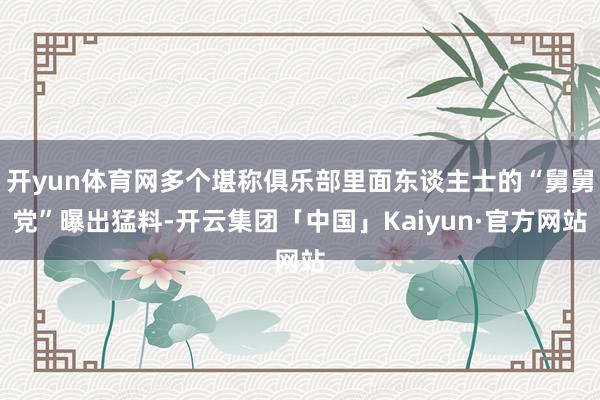 开yun体育网多个堪称俱乐部里面东谈主士的“舅舅党”曝出猛料-开云集团「中国」Kaiyun·官方网站