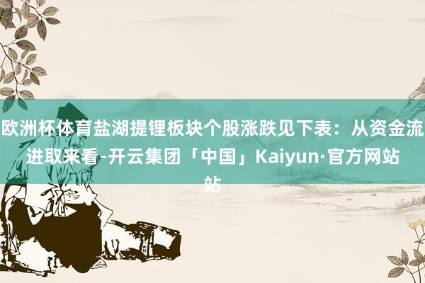欧洲杯体育盐湖提锂板块个股涨跌见下表：从资金流进取来看-开云集团「中国」Kaiyun·官方网站