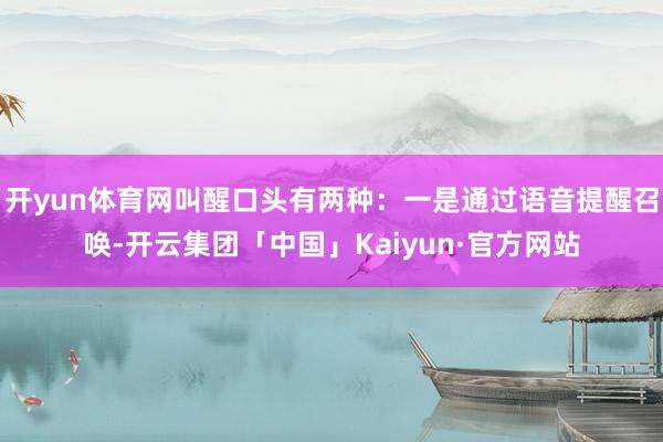 开yun体育网叫醒口头有两种：一是通过语音提醒召唤-开云集团「中国」Kaiyun·官方网站