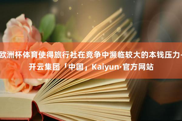 欧洲杯体育使得旅行社在竞争中濒临较大的本钱压力-开云集团「中国」Kaiyun·官方网站