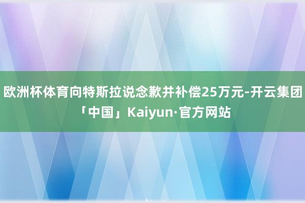 欧洲杯体育向特斯拉说念歉并补偿25万元-开云集团「中国」Kaiyun·官方网站
