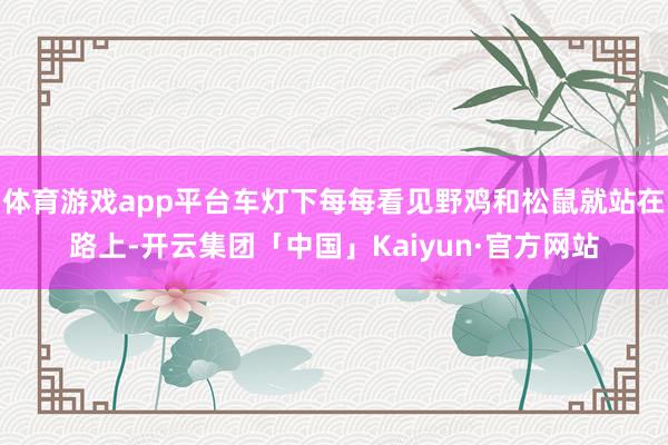 体育游戏app平台车灯下每每看见野鸡和松鼠就站在路上-开云集团「中国」Kaiyun·官方网站