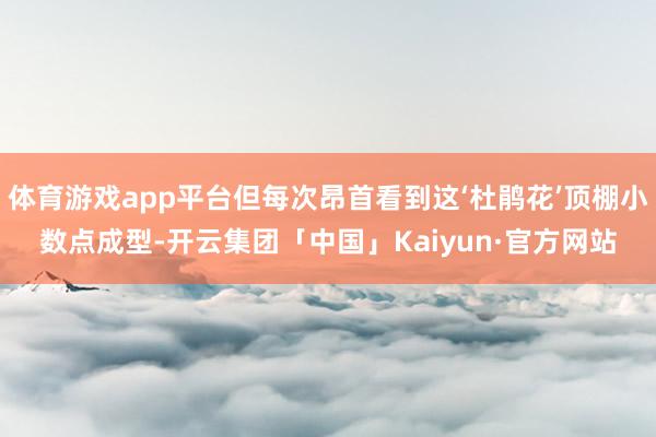体育游戏app平台但每次昂首看到这‘杜鹃花’顶棚小数点成型-开云集团「中国」Kaiyun·官方网站