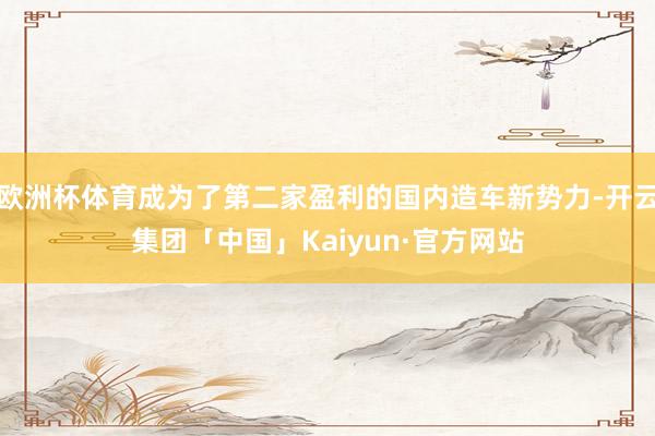 欧洲杯体育成为了第二家盈利的国内造车新势力-开云集团「中国」Kaiyun·官方网站