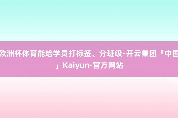 欧洲杯体育能给学员打标签、分班级-开云集团「中国」Kaiyun·官方网站