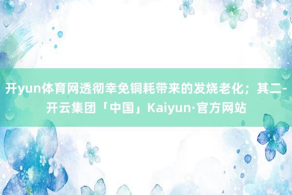 开yun体育网透彻幸免铜耗带来的发烧老化;其二-开云集团「中国」Kaiyun·官方网站