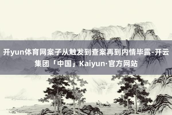 开yun体育网案子从触发到查案再到内情毕露-开云集团「中国」Kaiyun·官方网站