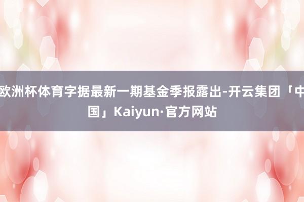 欧洲杯体育字据最新一期基金季报露出-开云集团「中国」Kaiyun·官方网站