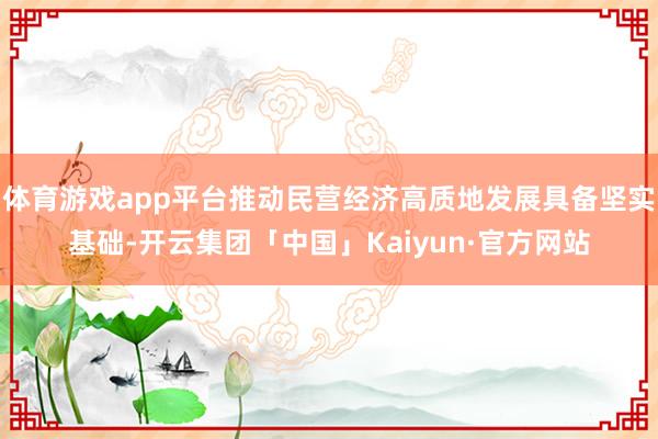 体育游戏app平台推动民营经济高质地发展具备坚实基础-开云集