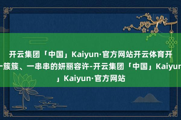 开云集团「中国」Kaiyun·官方网站开云体育开放时酿成一簇