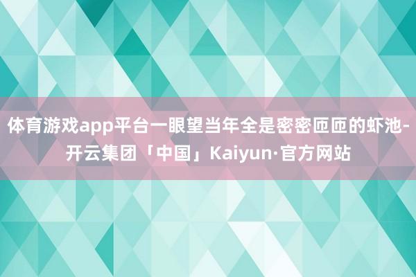 体育游戏app平台一眼望当年全是密密匝匝的虾池-开云集团「中国」Kaiyun·官方网站