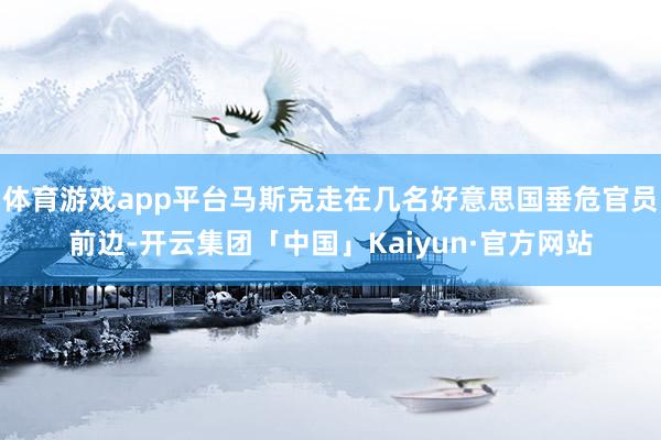 体育游戏app平台马斯克走在几名好意思国垂危官员前边-开云集团「中国」Kaiyun·官方网站