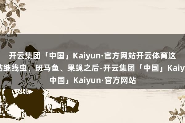 开云集团「中国」Kaiyun·官方网站开云体育这是中国空间站