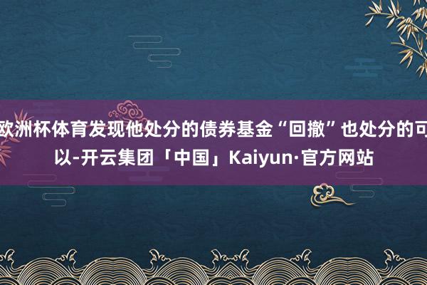 欧洲杯体育发现他处分的债券基金“回撤”也处分的可以-开云集团「中国」Kaiyun·官方网站