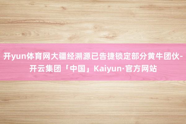 开yun体育网大疆经溯源已告捷锁定部分黄牛团伙-开云集团「中