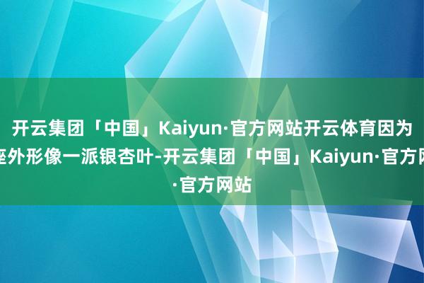 开云集团「中国」Kaiyun·官方网站开云体育因为举座外形像一派银杏叶-开云集团「中国」Kaiyun·官方网站