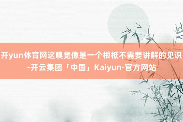 开yun体育网这嗅觉像是一个根柢不需要讲解的见识-开云集团「