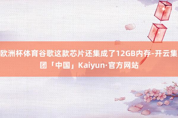 欧洲杯体育谷歌这款芯片还集成了12GB内存-开云集团「中国」